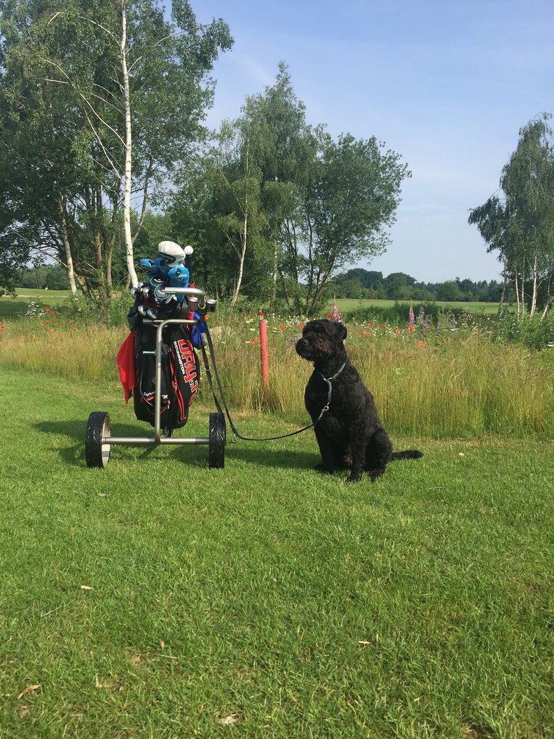 Golfclub Oldenburger Land e.V. in Hatten-Dingstede