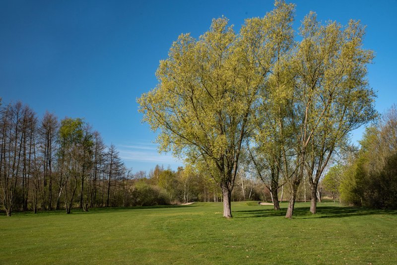 Golfclub Isernhagen - Sport und Geselligkeit pur in Isernhagen
