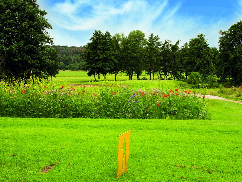 Hamelner Golfclub e.V. Schloss Schwöbber in Aerzen