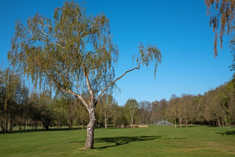 Golfclub Isernhagen - Sport und Geselligkeit pur in Isernhagen