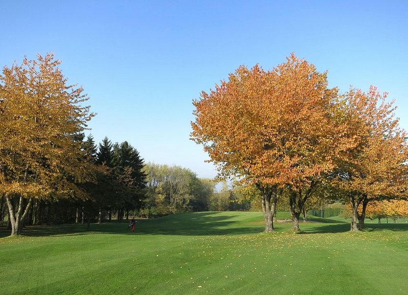 Golfclub Schaumburg e.V. in Obernkirchen