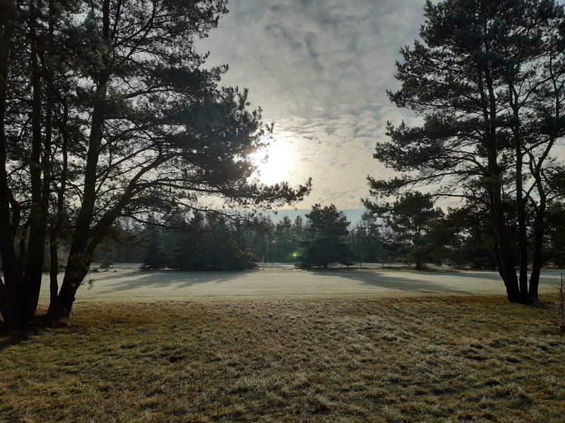 Golf-Club Munster e.V. in Munster