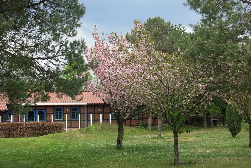 Golf-Club Munster e.V. in Munster