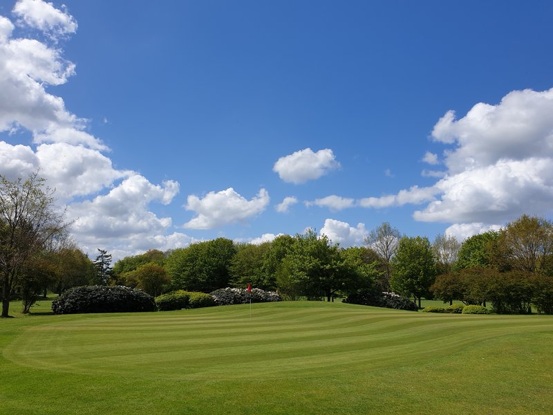 Golfclub Ostfriesland e.V. in Wiesmoor