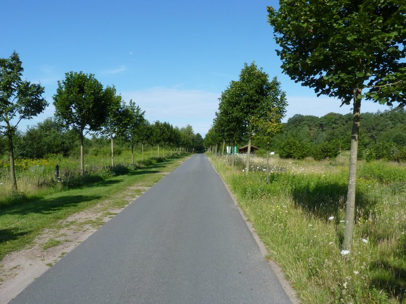 Golf Club Wümme e.V. in Scheeßel