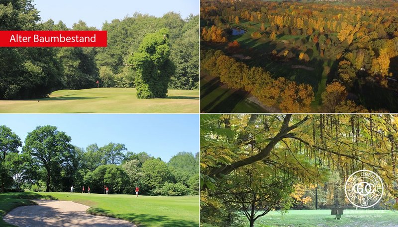 Golf-Club Oberneuland e.V. in Bremen