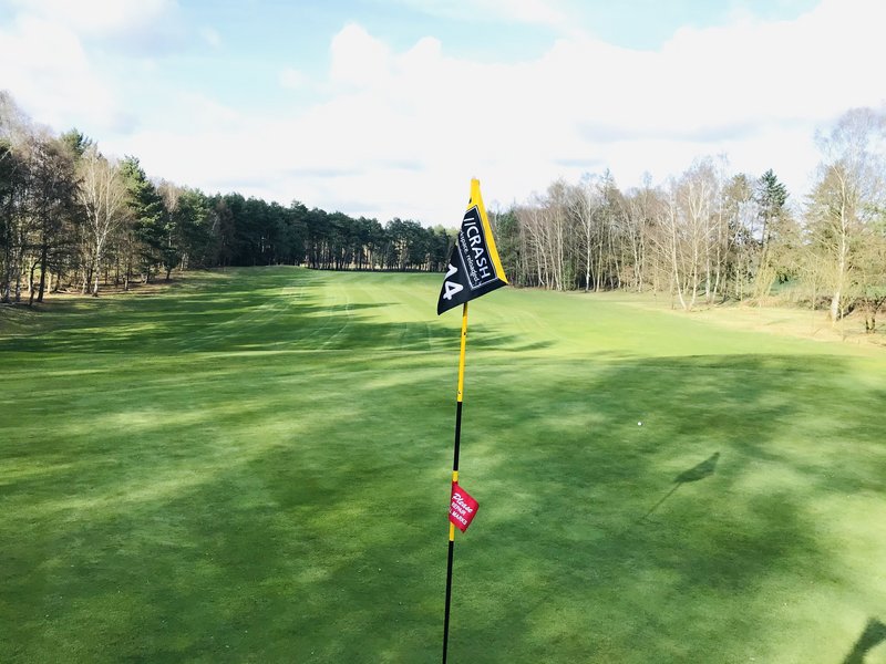Golf Club Wildeshauser Geest in Wildeshausen