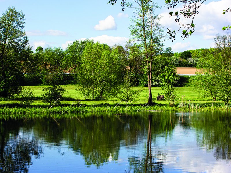 Hamelner Golfclub e.V. Schloss Schwöbber in Aerzen