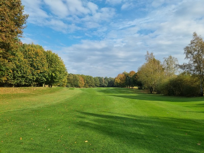 Golfclub Thülsfelder Talsperre e.V. in Molbergen OT Resthausen
