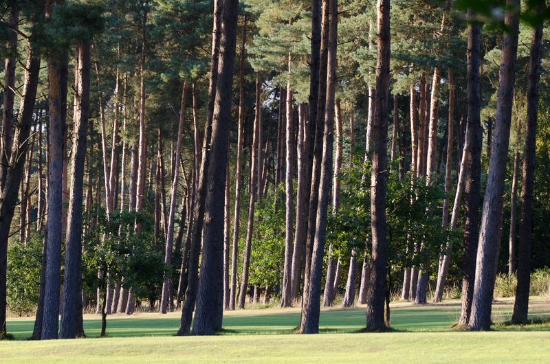 Golfclub Worpswede e.V. in Vollersode